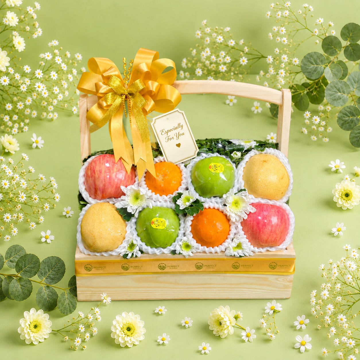 PREMIUMFRUIT - SET10 รหัส SF-10