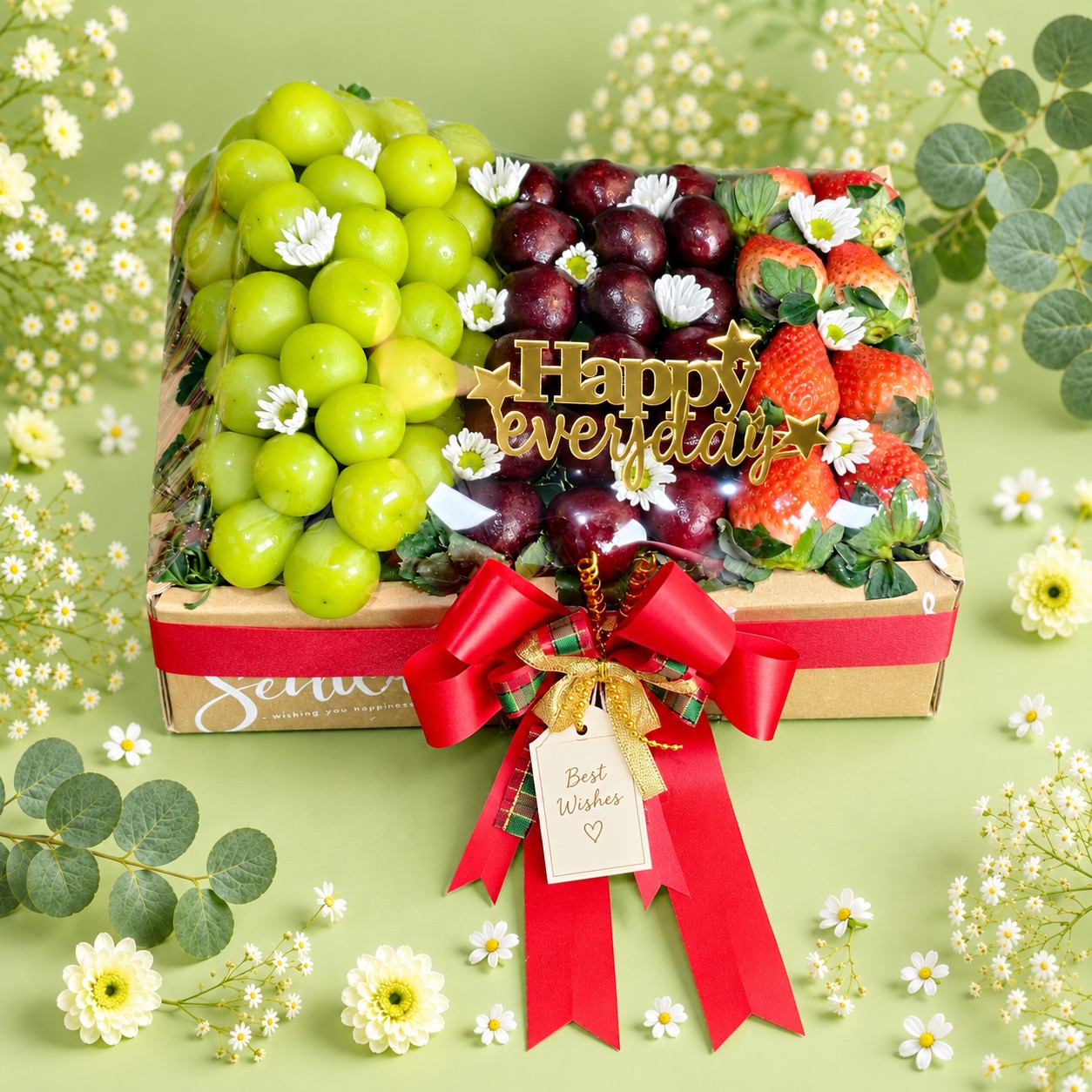 PREMIUMFRUIT - SET20 รหัส SF-20