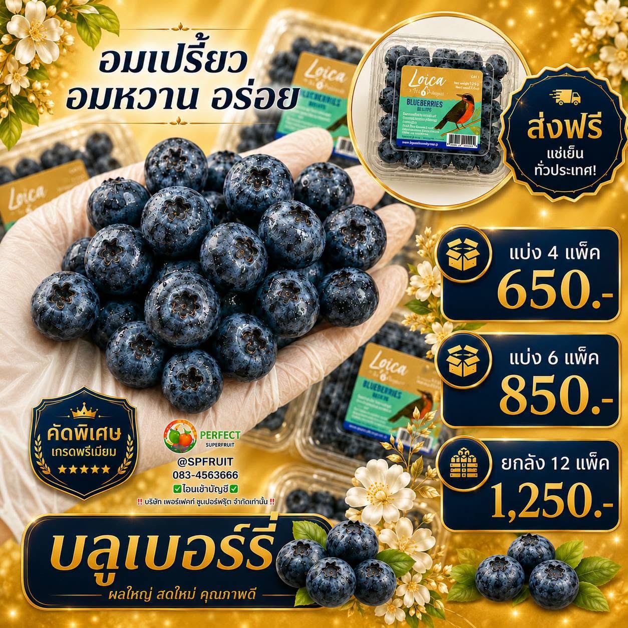 บลูเบอร์รี่ รหัส IP-06 ราคา 650 บาท