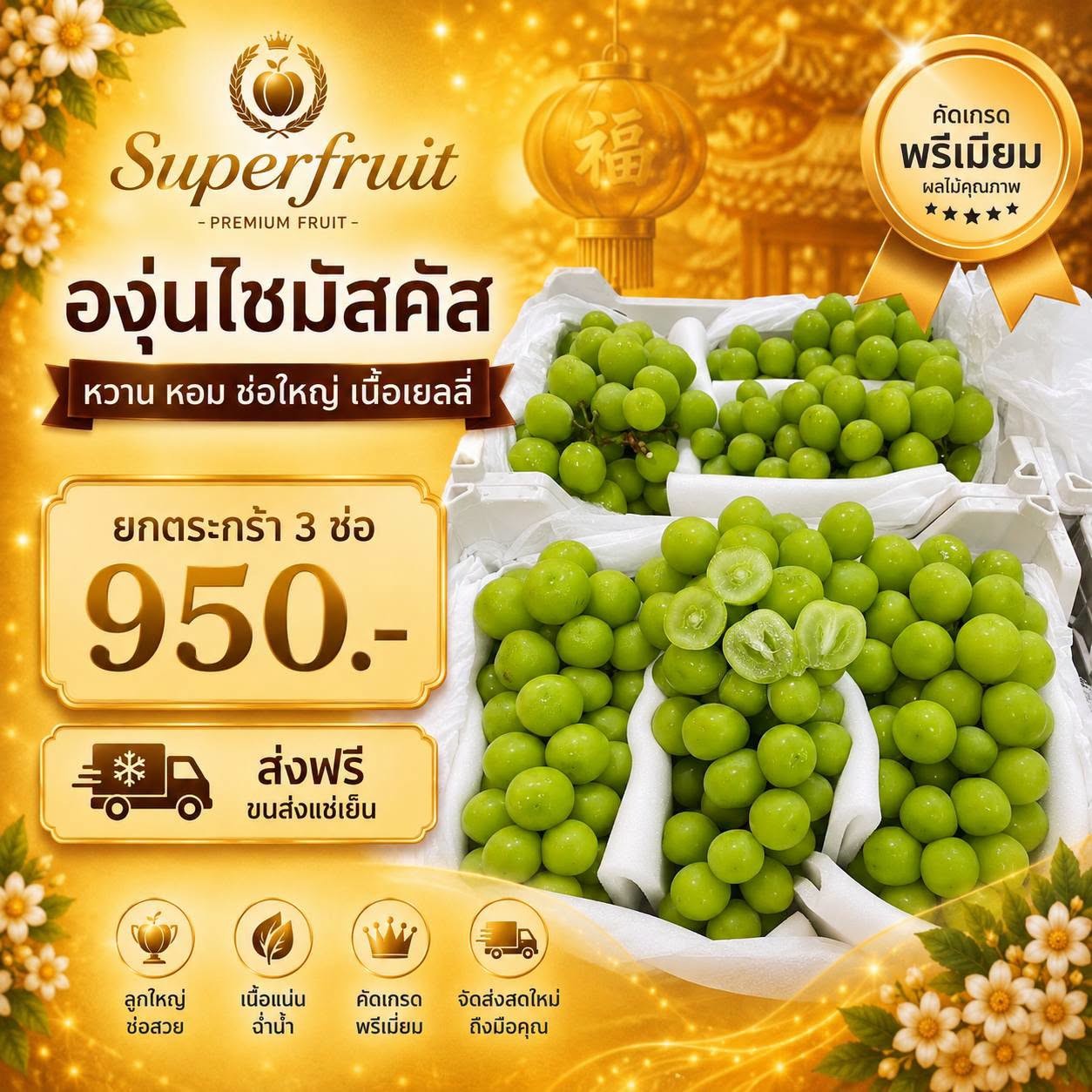 องุ่นไซมัสคัส รหัส IP-10 ราคา 950 บาท