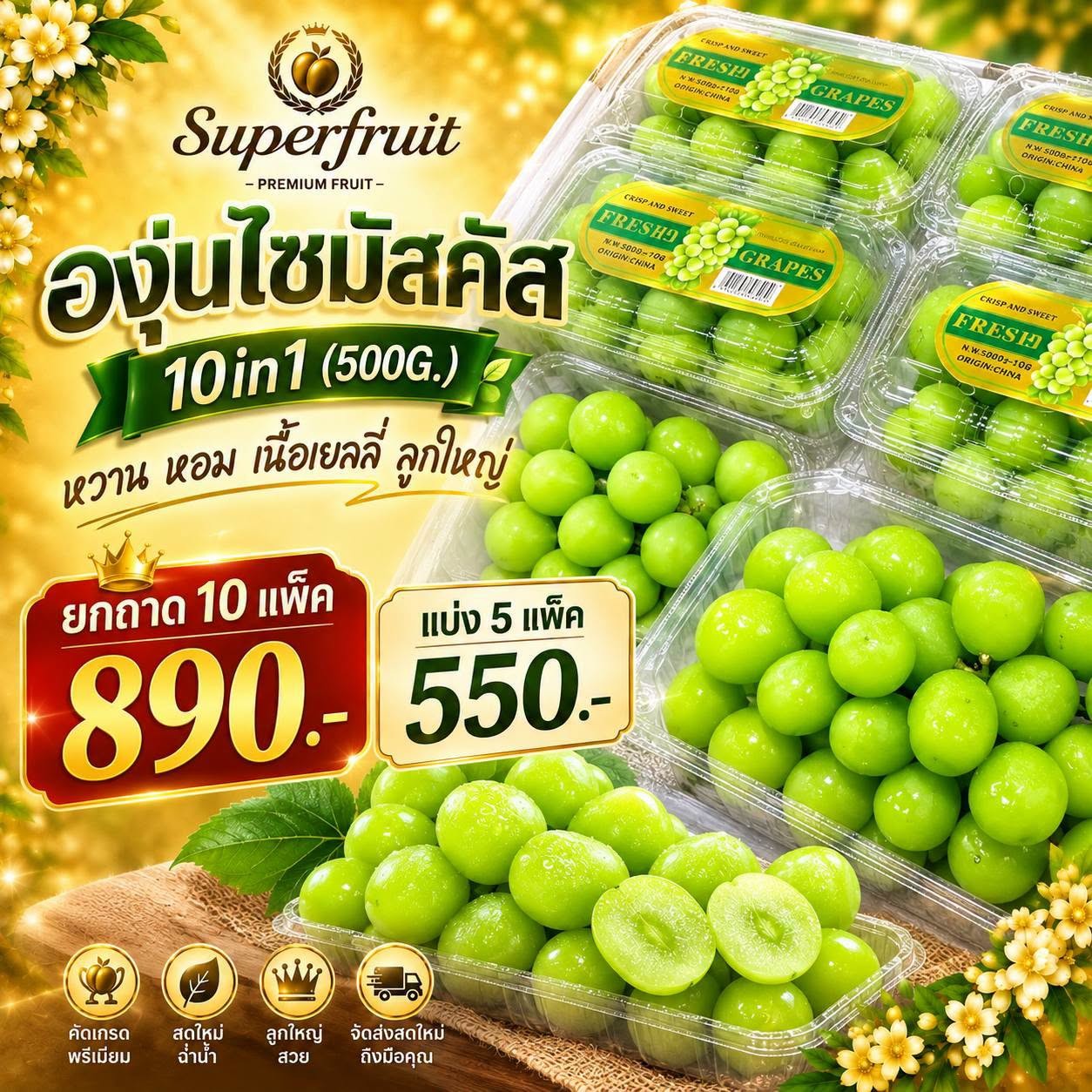 องุ่นไซมัสคัส 10in1 (500G.) รหัส IP-11 ราคา 890 บาท