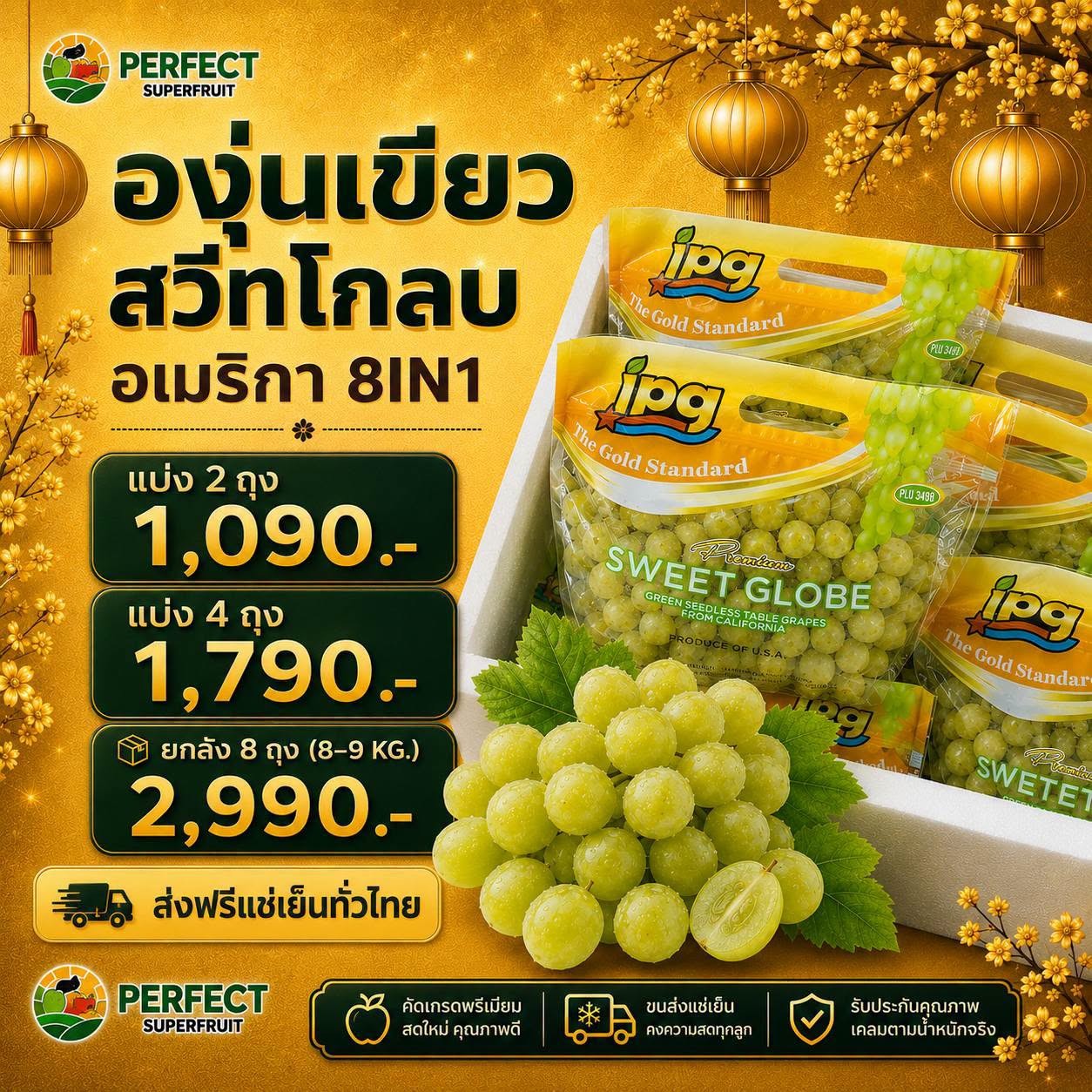 องุ่นเขียวสวีทโกลบ อเมริกา 8in1 รหัส IP-13