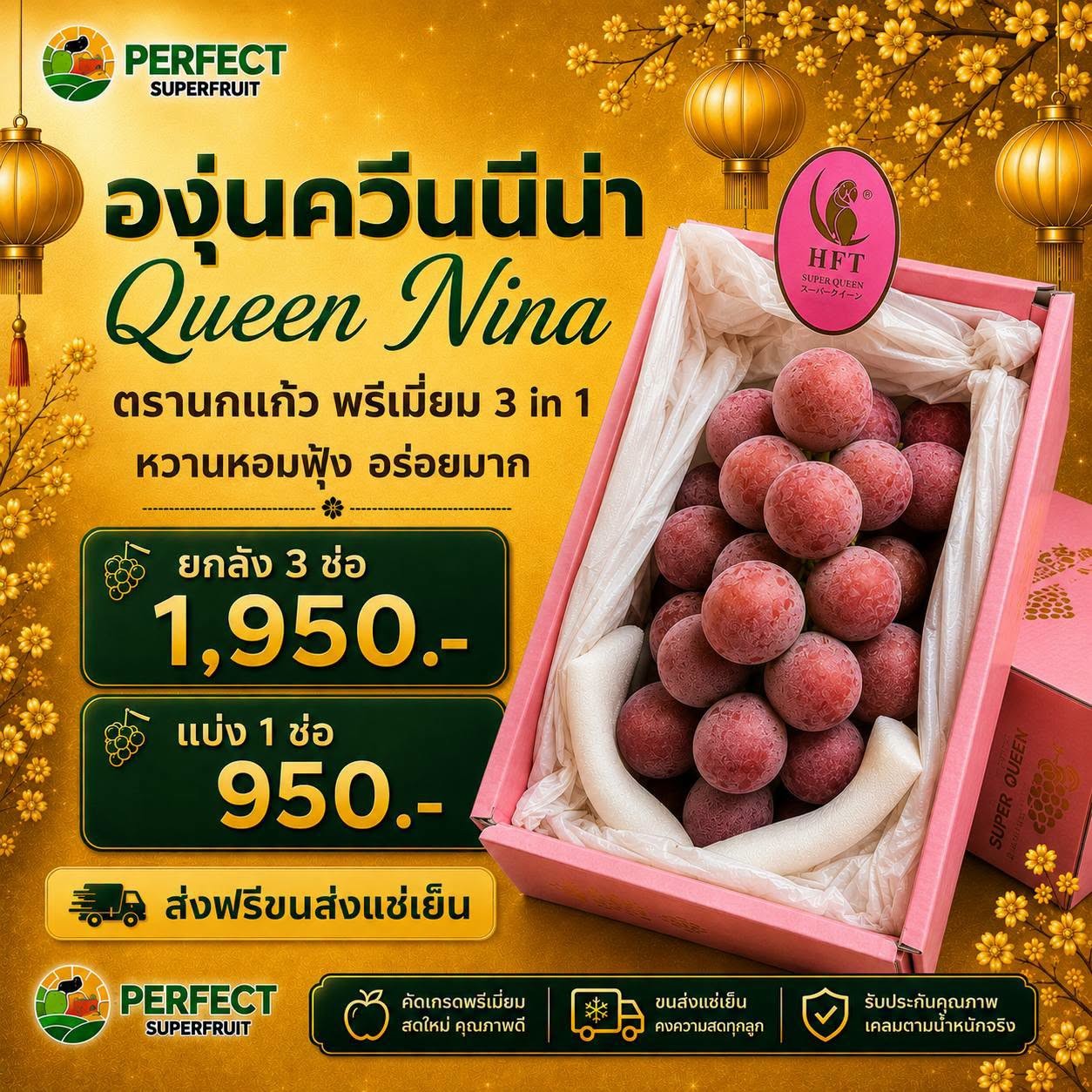 องุ่นควีนนีน่า ตรานกแก้ว พรีเมียม 3in1 รหัส IP-18