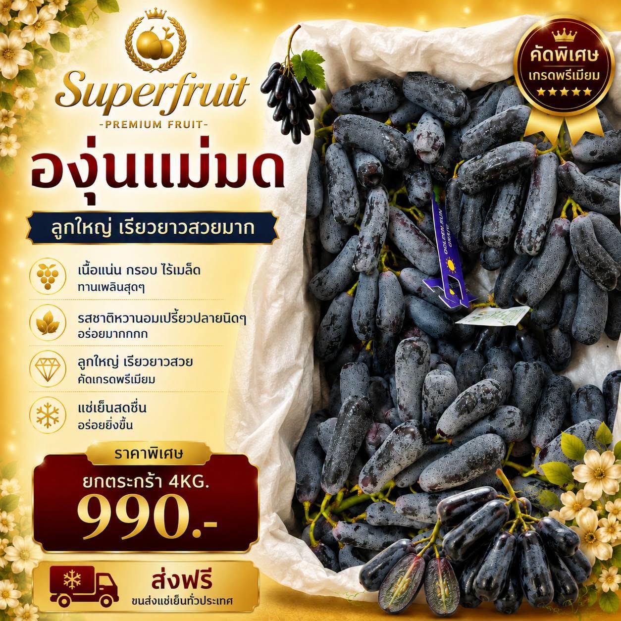 องุ่นแม่มด รหัส IP-19