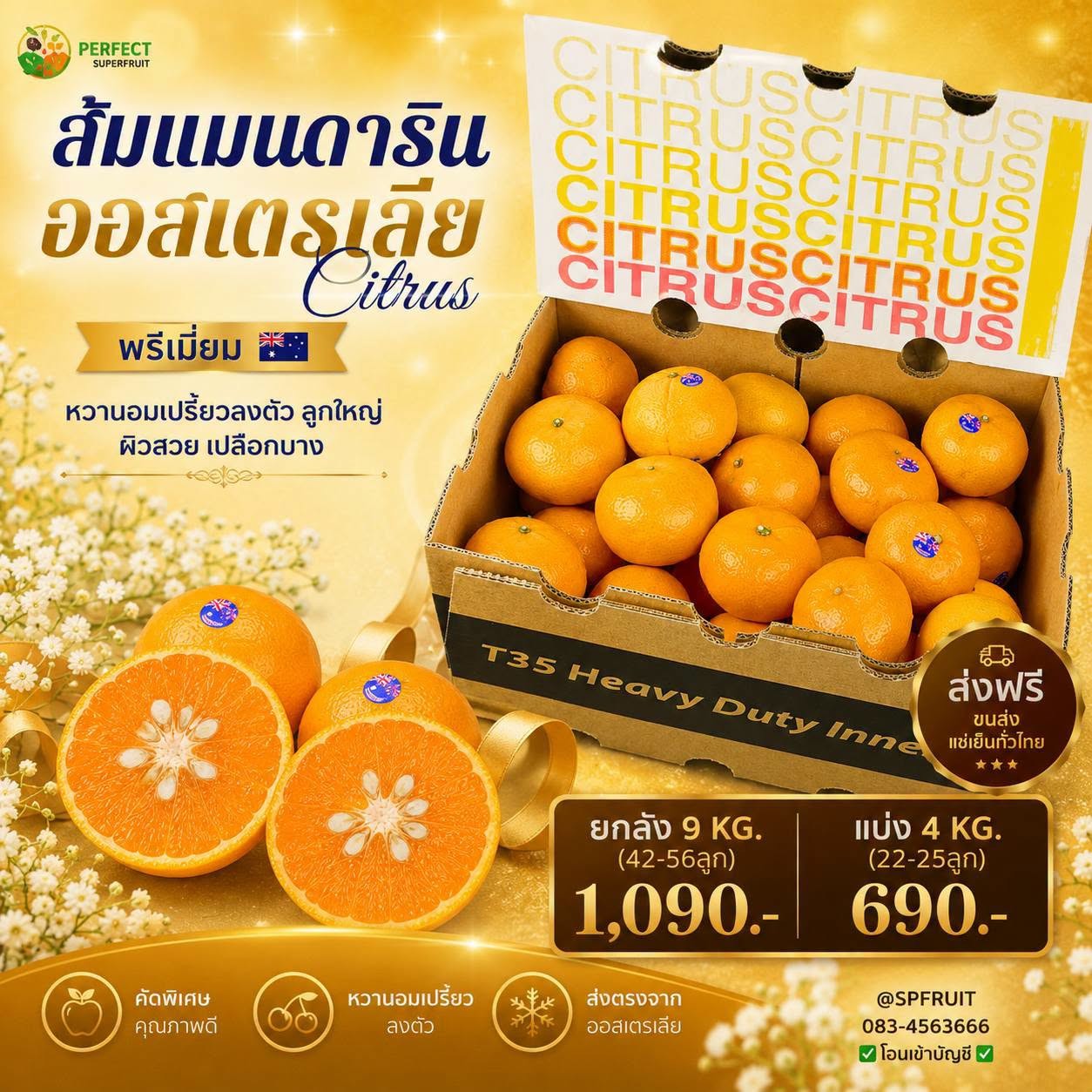 ส้มแมนดารินออสเตรเลีย Citrus รหัส IP-02
