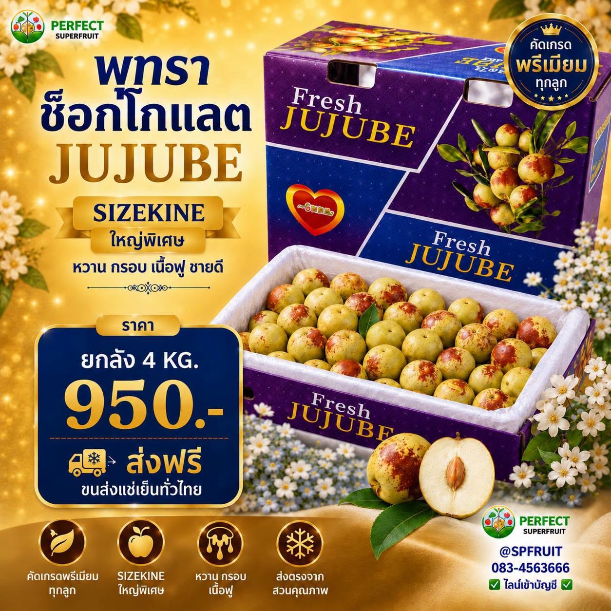 พุทธา ช็อกโกแลต JUJUBE รหัส IP-23 ราคา 950 บาท