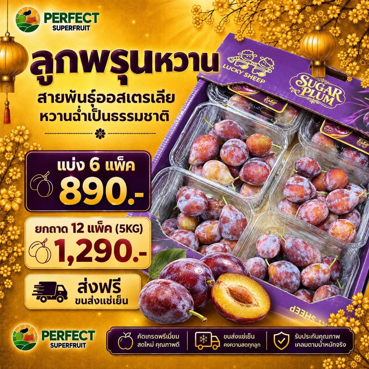 ลูกพรุนหวาน สายพันธ์ออสเตรเลีย รหัส IP-36 ราคา 890 บาท