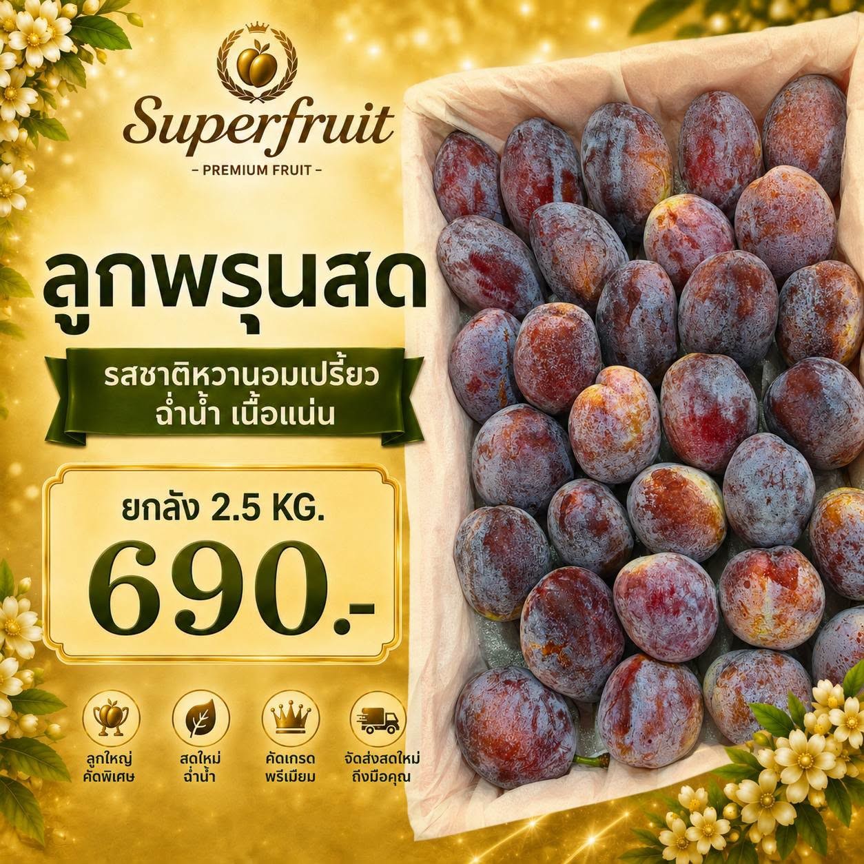 ลูกพรุนสด รหัส IP-37 ราคา 690 บาท