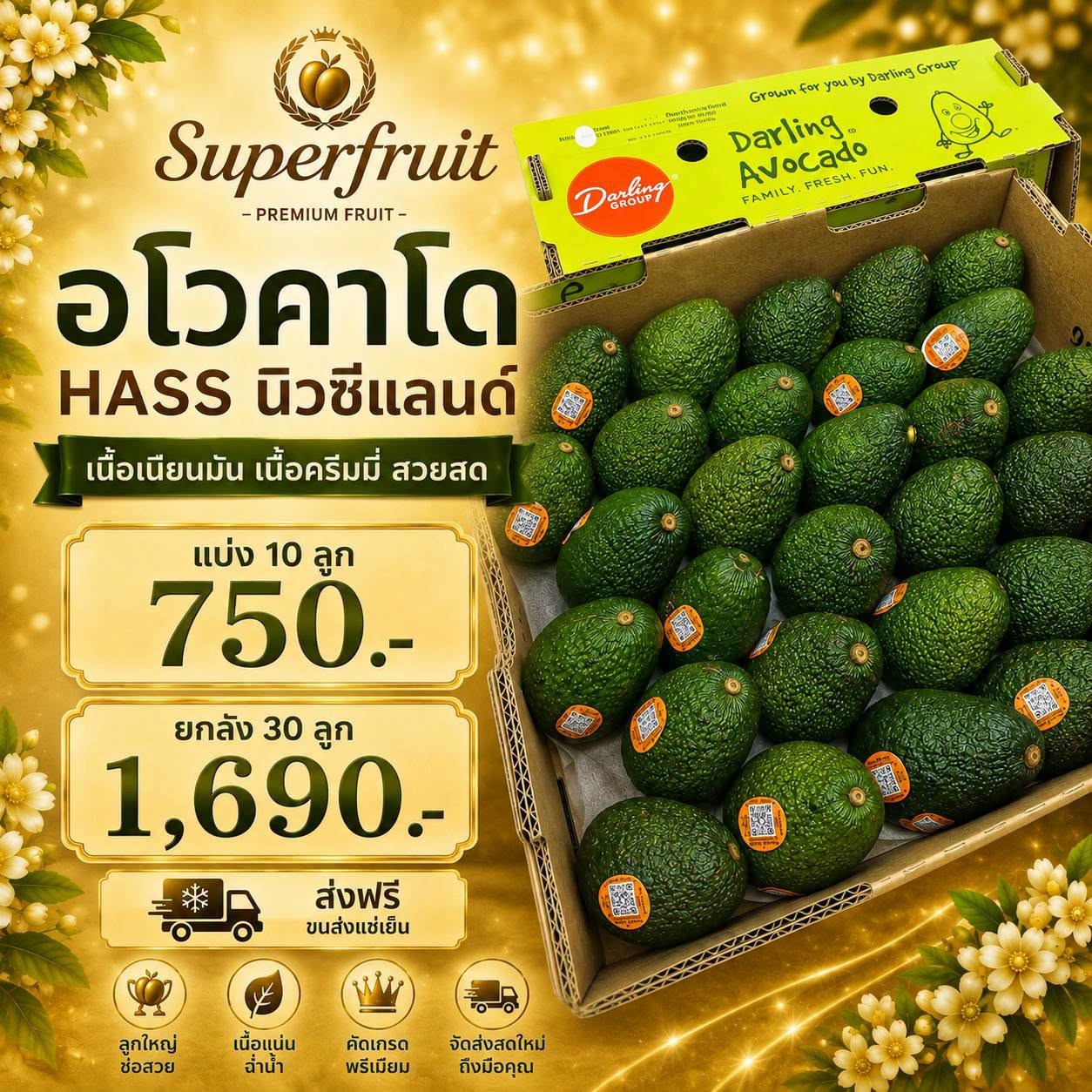 อโวคาโด HASS นิวซีแลนด์ รหัส IP-38 ราคา 750 บาท