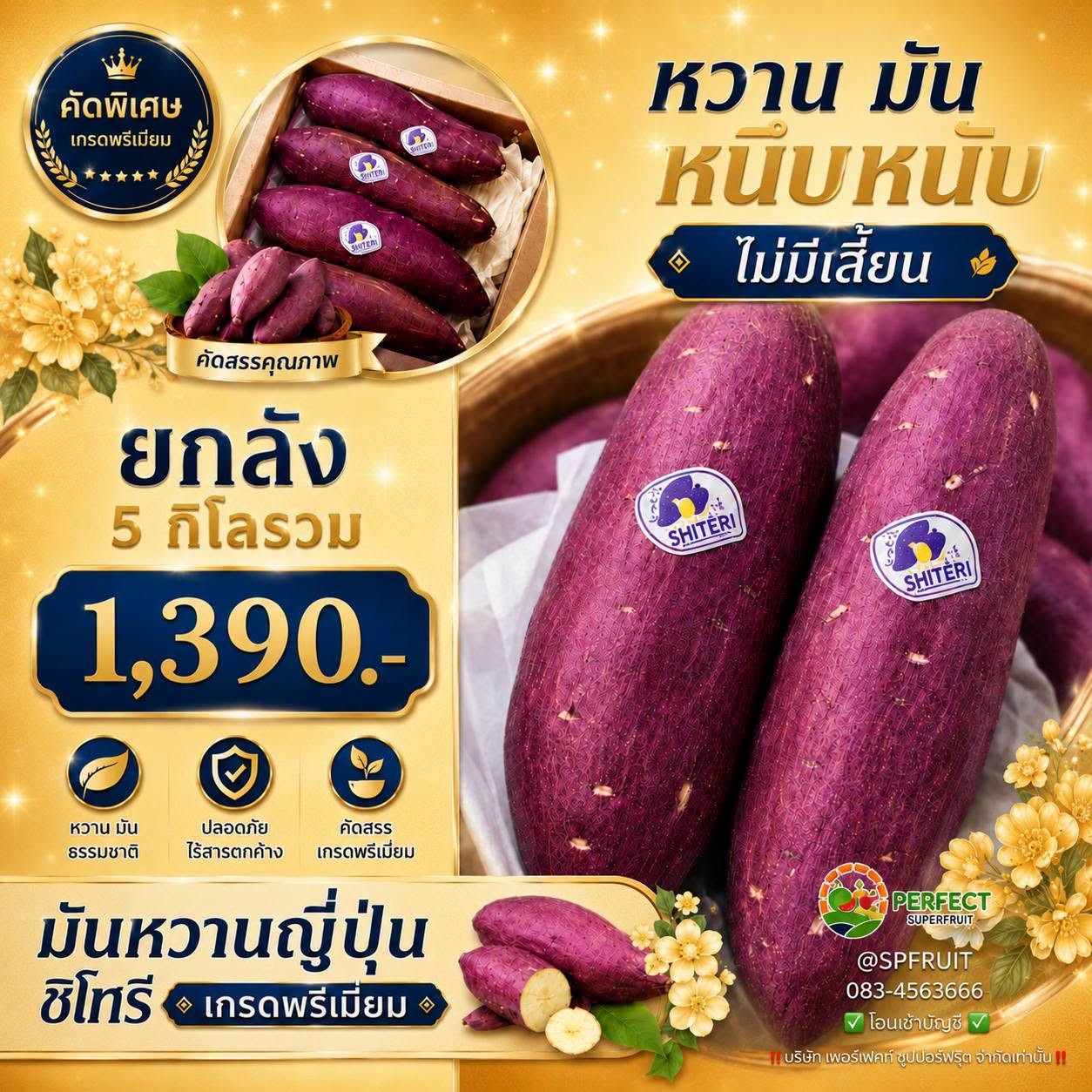 มันหวานญี่ปุ่น ชิโทริ เกรดพรีเมี่ยม รหัส IP-41 ราคา 1,390 บาท