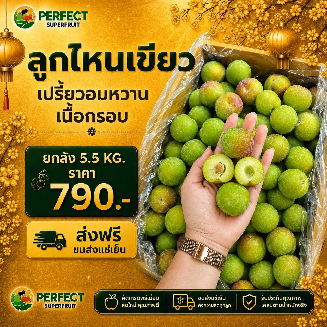 ลูกไหนเขียว รหัส IP-43