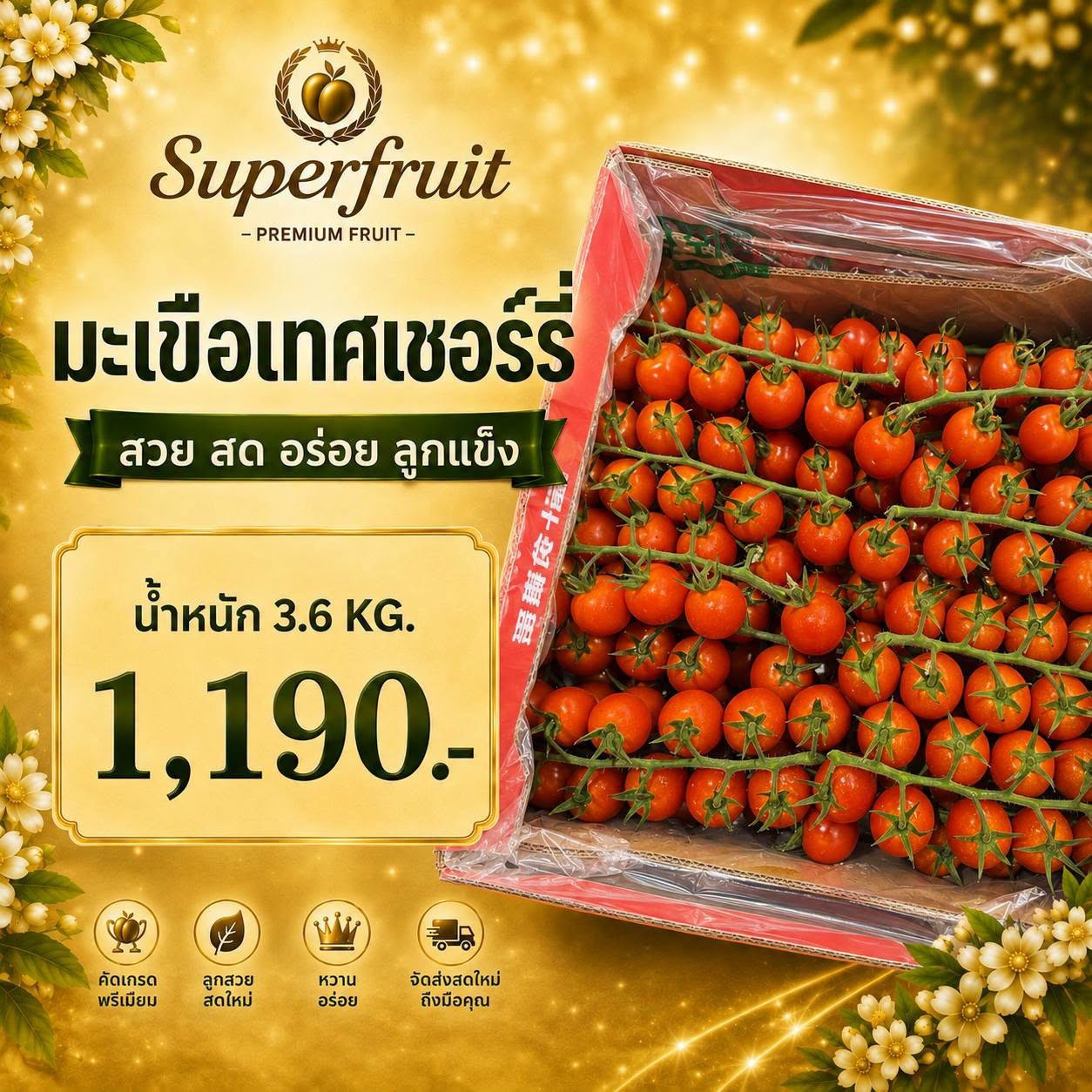 มะเขือเทศเชอร์รี่ รหัส IP-45 ราคา 1,190 บาท