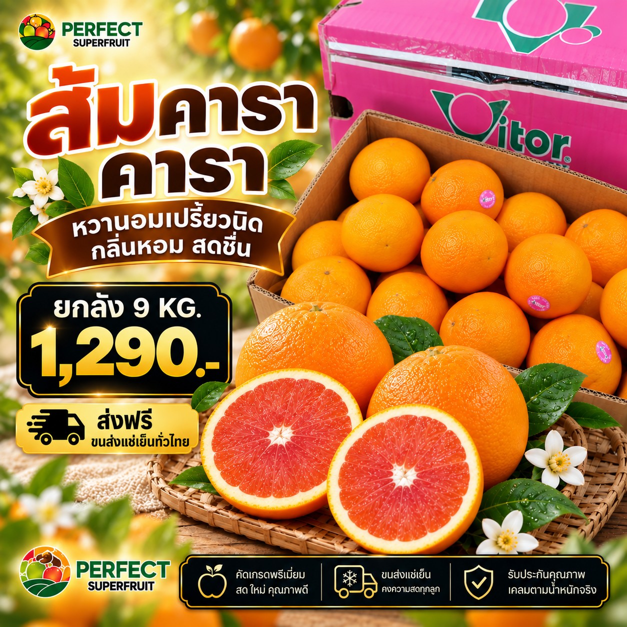 ส้มคารา คารา รหัส IP-54 ราคา 1,290 บาท