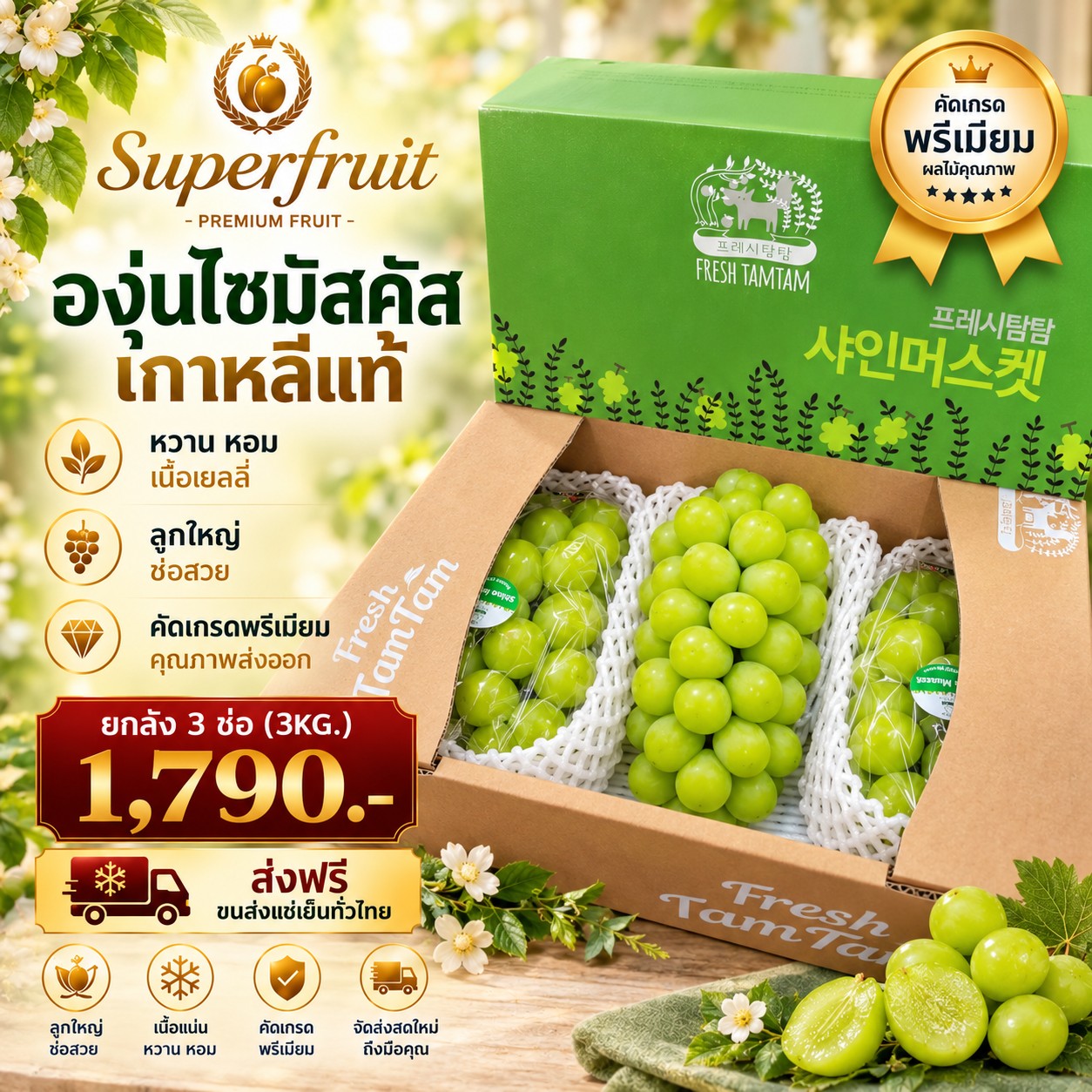 องุ่นไซมัสคัส เกาหลีแท้ รหัส IP-57 ราคา 1,790 บาท